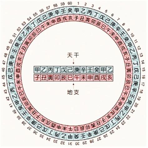 1995年天干地支|天干属性 干支纪年对照表